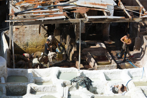 North Africa,Morocco,Fes district,Fez Tannery,Chouara Tannery. Leather processing