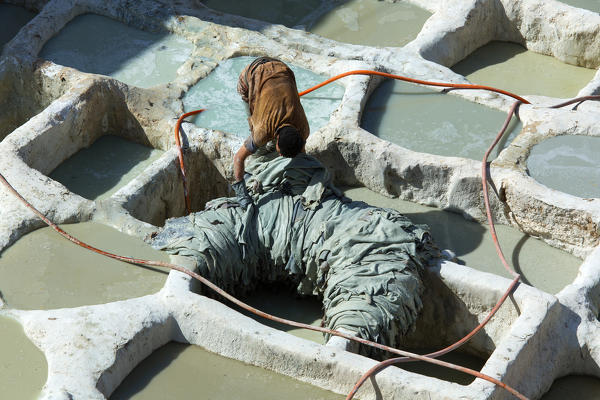 North Africa,Morocco,Fes district,Fez Tannery,Chouara Tannery. Leather processing