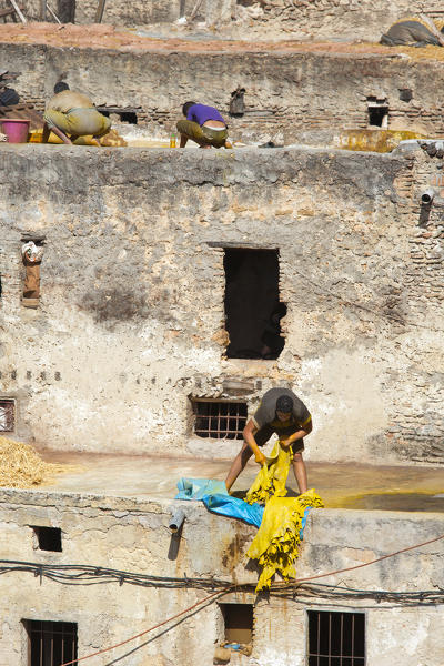 North Africa,Morocco,Fes district,Fez Tannery,Chouara Tannery. Leather processing