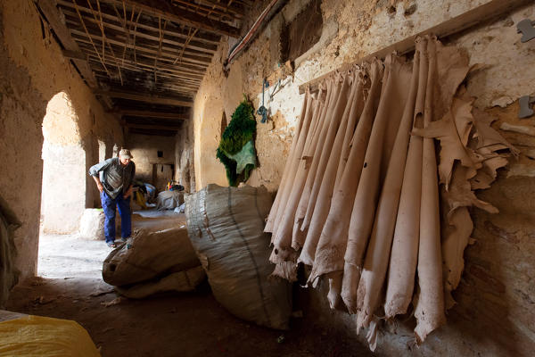 North Africa,Morocco,Fes district,Fez Tannery,Chouara Tannery. Leather processing