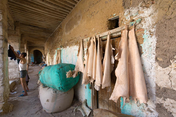 North Africa,Morocco,Fes district,Fez Tannery,Chouara Tannery. Leather processing