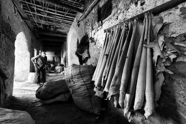 North Africa,Morocco,Fes district,Fez Tannery,Chouara Tannery. Leather processing