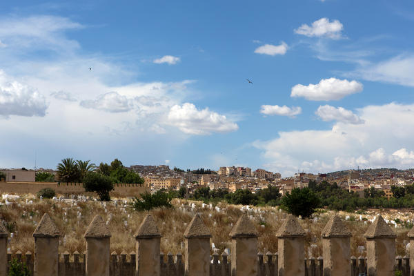 North Africa,Morocco,Fes district, Cementery of Fes.