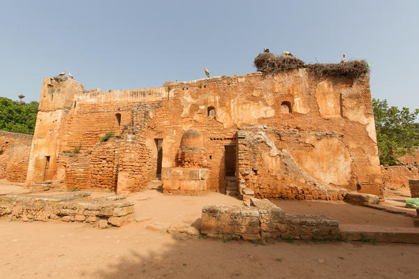 North Africa,Morocco,Capital Rabat. Archaeological site Chellah