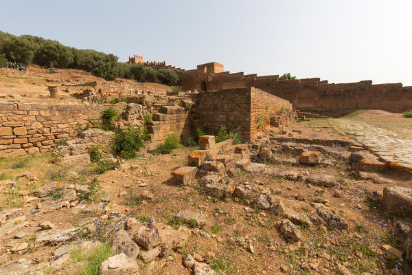 North Africa,Morocco,Capital Rabat. Archaeological site Chellah