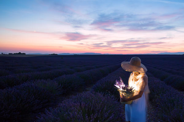 Europe, France,Provence Alpes Cote d'Azur,Plateau de Valensole.Woman in lavender field at dusk