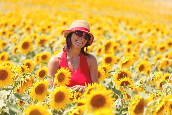 Europe, France,Provence Alpes Cote d'Azur,Plateau de Valensole.Girl among sunflowers 