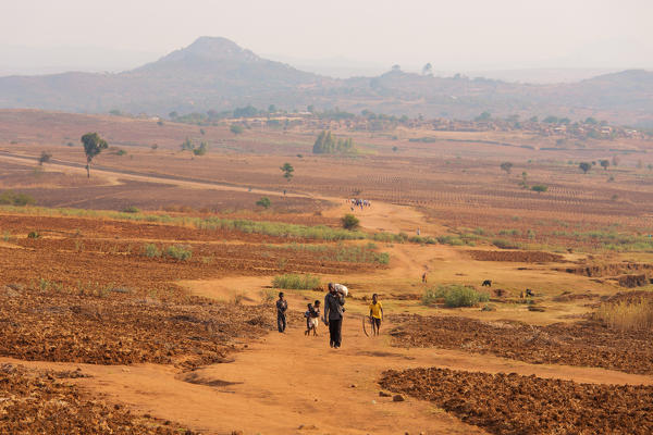 Africa,Malawi,Lilongwe district.
Man carrying grain