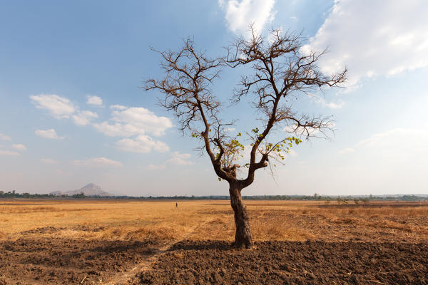 Africa,Malawi,Lilongwe district.
Malawian countryside
