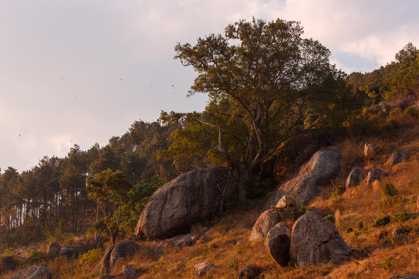 Africa,Malawi,Lilongwe district.
Mountain of Malawi