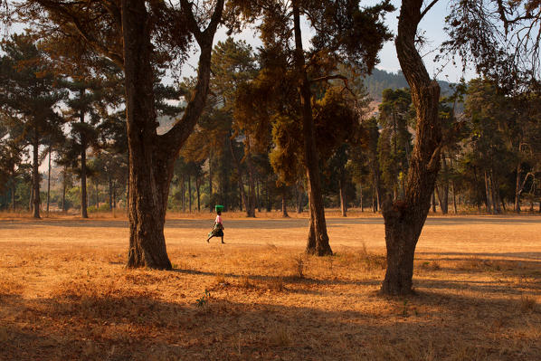 Africa,Malawi,Lilongwe district.
Woman carrying a bucket