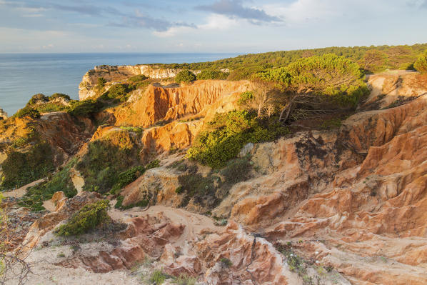  Praia da Marinha Caramujeira Lagoa  Algarve Portugal Europe