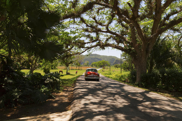 Cuba, Republic of Cuba, Central America, Caribbean Island.
Havana City.