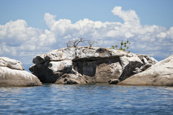 Africa,Malawi,Monkey bay district, Lake Malawi National park.
