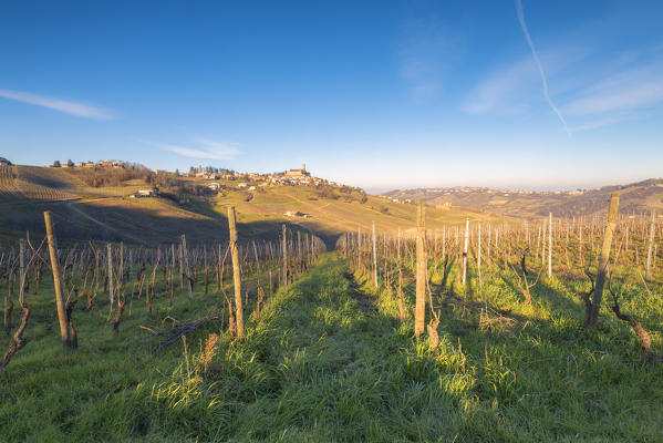 Late afternoon in Cigognola, Oltrepo Pavese, Province of Pavia, Lombardy, Italy