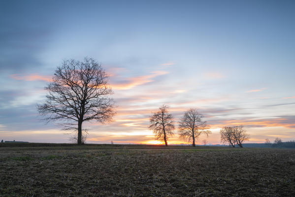 Sunset in Lomellina, Province of Pavia, Lombardy, Italy