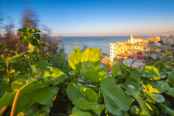Dawn at Boccadasse, Genoa, Liguria, Italy