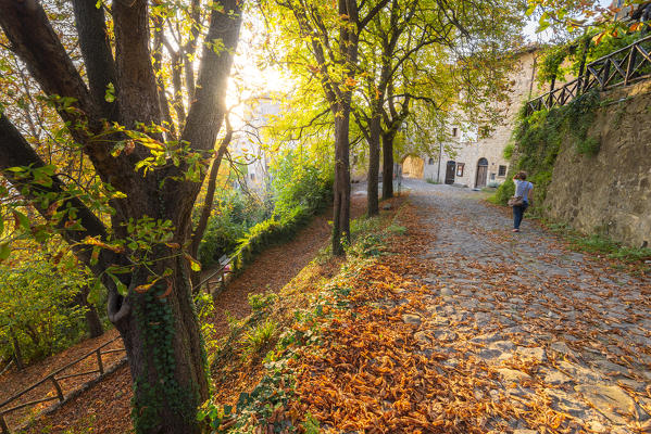 La Scola, Valle del Reno, bolognese Apennine, province of Bologna, Emilia Romagna, Italy