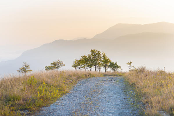 Valle del Reno, bolognese Apennine, province of Bologna, Emilia Romagna, Italy
