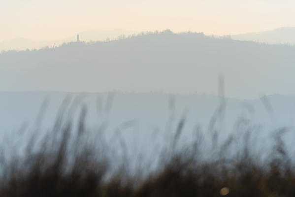 Hills in a winter sunset, Valle del Torrente Ghiaia Coppa, Oltrepo Pavese, province of Pavia, Lombardy, Italy