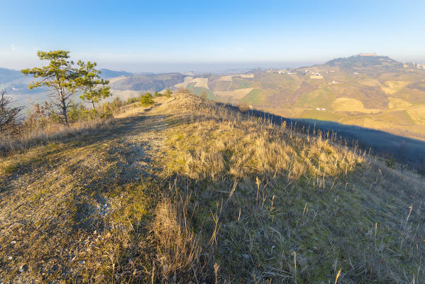 Monte Fratello, Valle del Torrente Ghiaia Coppa, Oltrepo Pavese, province of Pavia, Lombardy, Italy