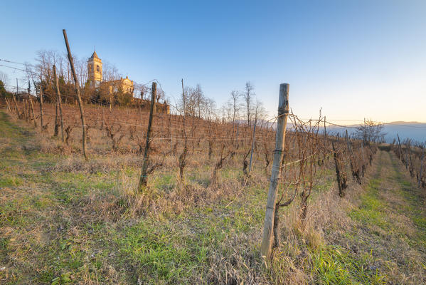Wineyards around the church of San Lorenzo Martire, Valle del Torrente Ghiaia Coppa, Oltrepo Pavese, province of Pavia, Lombardy, Italy