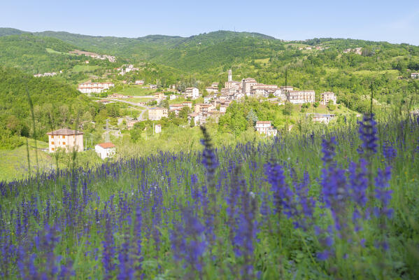 Romagnese, Val Tidone, Oltrepo Pavese, Province of Pavia, Apennines, Lombardy, Italy
