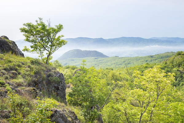 The woods in Val Trebbia seen from Monte di Pietra Corva, Val Tidone, Oltrepo Pavese, Province of Pavia, Apennines, Lombardy, Italy