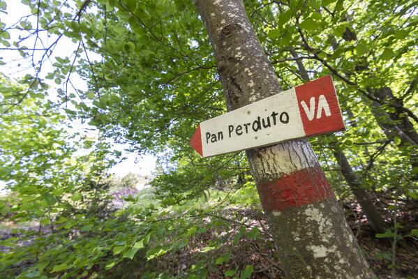 Sign for the top of Pan Perduto, Val Tidone, Oltrepo Pavese, Province of Pavia, Apennines, Lombardy, Italy