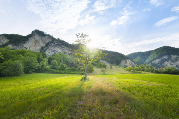 Monte Nocelle, Oltrepo Pavese, province of Pavia, Apennines, Lombardy