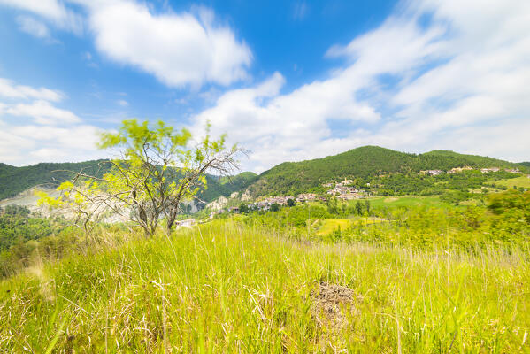 Sagliano Crenna, Oltrepo Pavese, province of Pavia, Apennines, Lombardy
