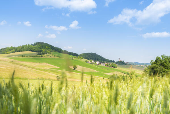 Hills in Ardivestra valley, Oltrepo Pavese, province of Pavia, Apennines, Lombardy