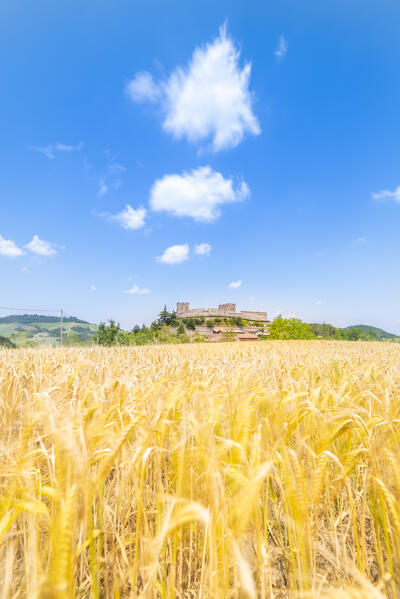 The castle of Montesegale, Oltrepo Pavese, province of Pavia, Apennines, Lombardy