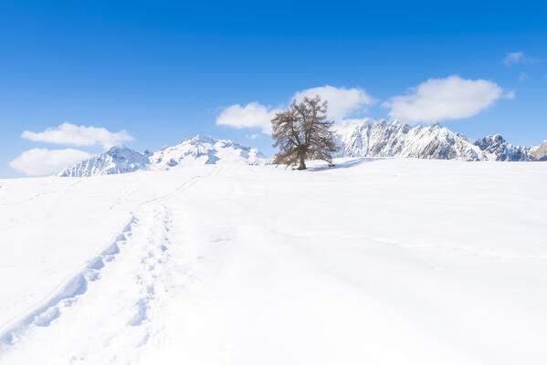 The view from Alpe Granda, Valtellina, province of Sondrio, Lombardy, Italian alps, Italy