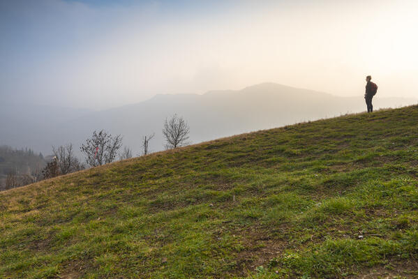 Hiker in the fog, Borgo Priolo, Oltrepo Pavese, apennines, province of Pavia, Lombardy, Italy