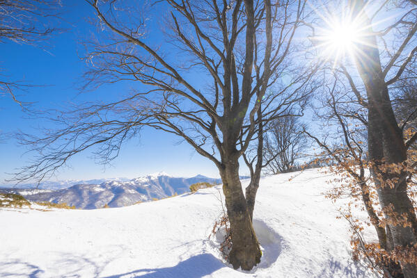Staffora Valley, Oltrepo Pavese, province of Pavia, Apennines, Lombardy, Italy