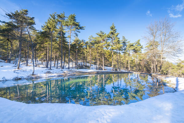 Little lake in the woods, Cegni, Staffora Valley, Oltrepo Pavese, province of Pavia, Apennines, Lombardy, Italy