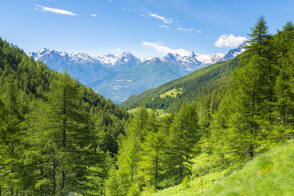 Comba Deche, Nus, Aosta Valley, Italian alps, Italy