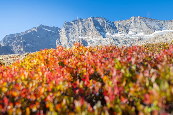 Autumn under Levanne, Orco valley, gran paradiso national park, piedmont, italian alps, italy