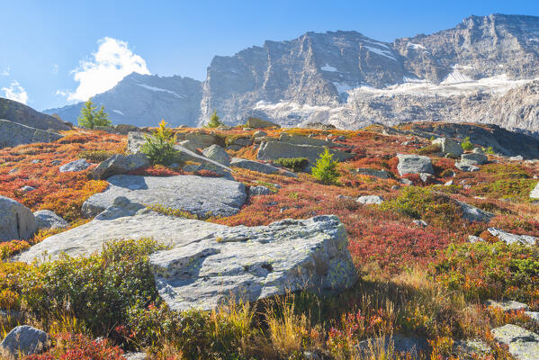 Orco valley in early autumn, gran paradiso national park, piedmont, italian alps, italy