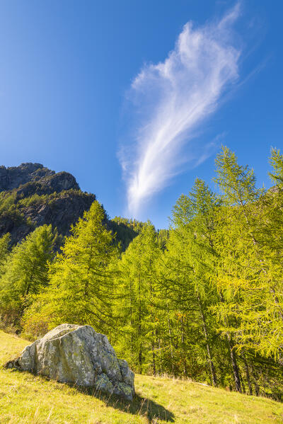 Clouds and forest, Alleigne valley, Champorcher valley, Aosta Valley, italian alps, Italy