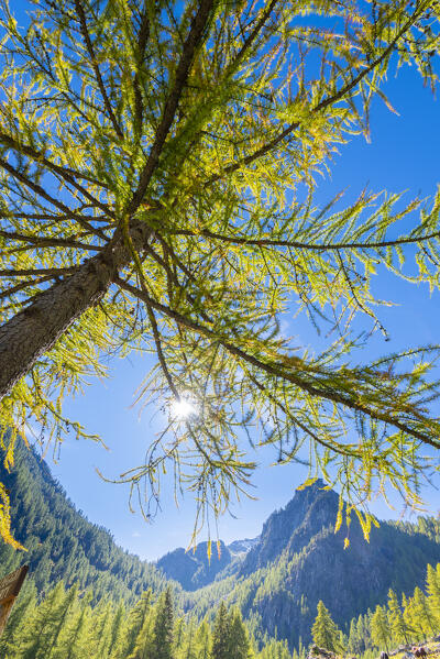 Alleigne valley in early autumn, Champorcher valley, Aosta Valley, italian alps, Italy