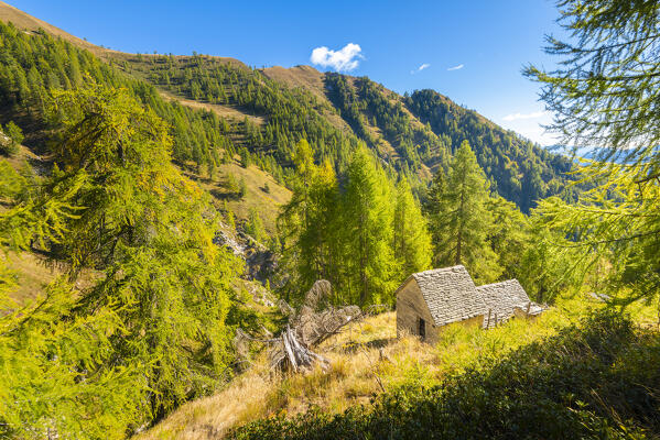 The ancient Valendra mountain pasture, Vigezzo valley, Ossola, Piedmont, Province of Verbano Cusio Ossola, italian alps, Italy