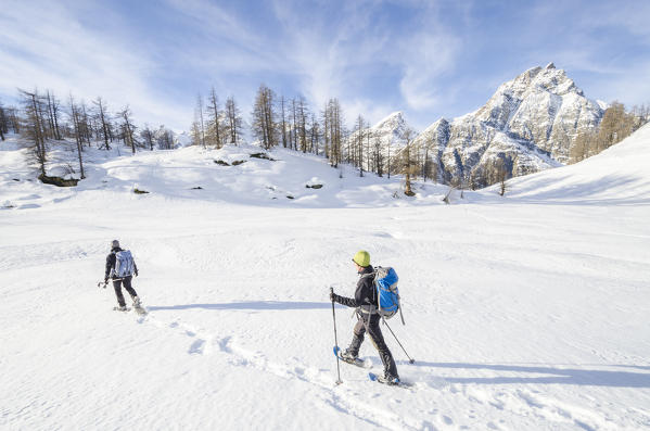 Hikers in snowy landscape (Devero, Ossola, Piedmont, Italian alps, Italy)