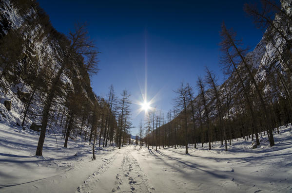 Pian d'Azaria (Campiglia's valley, Valle Soana, Gran Paradiso National Park, Italy)