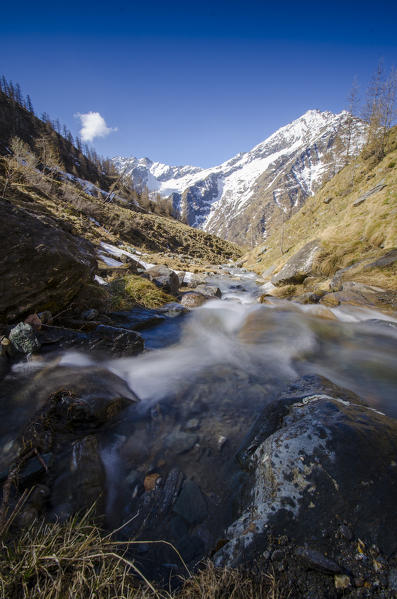 Torrent in springtime (Valle Soana, Gran Paradiso National Park, Piedmont, Italy)