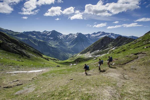 Hikers in descent in the valley (Val Soana, Gran Paradiso National Park, Piedmont, Italy)