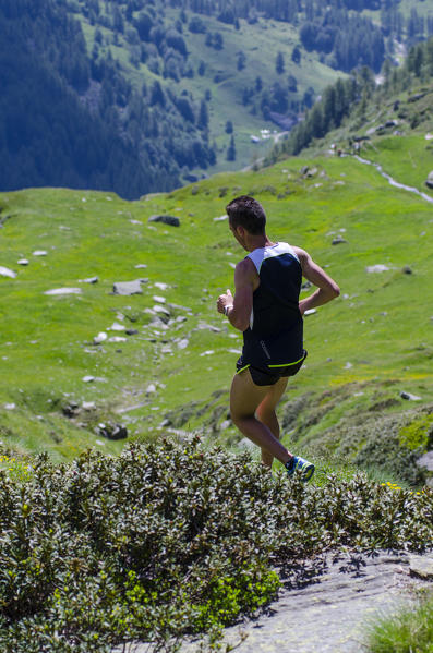 Skyrunner in downhill (Val Soana, Gran Paradiso National Park, Piedmont, Italy)