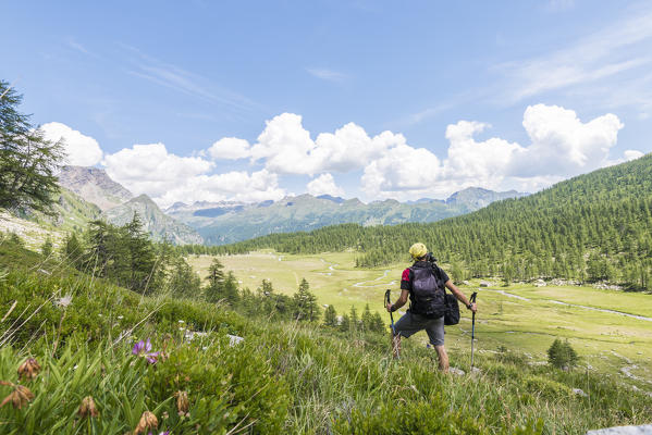 Hiker in Buscagna valley, Alpe Devero, Ossola, Piedmont, Italian alps, Italy