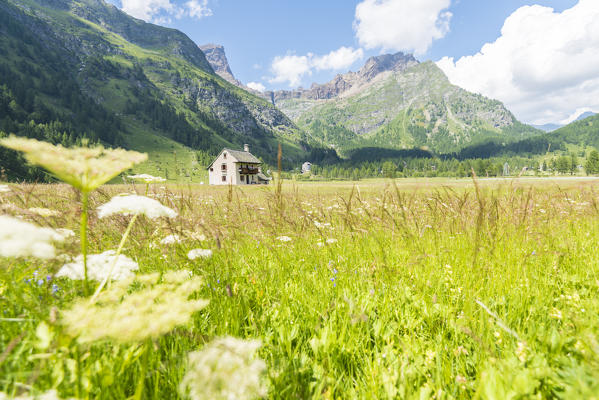 Solitary cottage at Piedimonte, Alpe Devero, Ossola, Piedmont, Italian alps, Italy